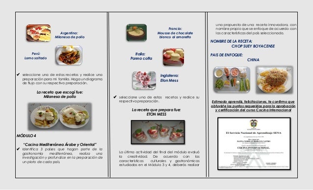 Folleto Curso virtual