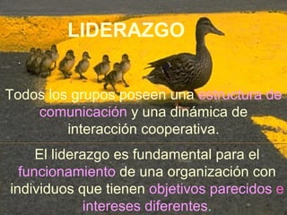 LIDERAZGO Todos los grupos poseen una   estructura de comunicación   y una dinámica de interacción cooperativa. El liderazgo es fundamental para el   funcionamiento   de una organización con individuos que tienen   objetivos parecidos   e   intereses diferentes . 