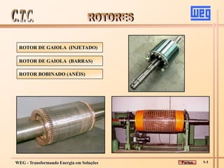 WEG - Transformando Energia em Soluções
ROTOR DE GAIOLA (INJETADO)
ROTOR DE GAIOLA (BARRAS)
ROTOR BOBINADO (ANÉIS)
1-1
Partes
 