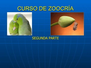 CURSO DE ZOOCRÍA SEGUNDA PARTE 