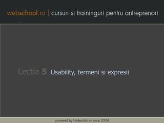 Lectia 5   Usability, termeni si expresii
 