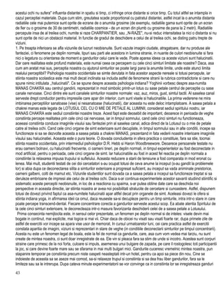 acestui ochi nu sufera" influenta distantei in spatiu si timp, ci infringe orice distante si orice timp. Cu totul altfel se intampla in
cazul perceptiei materiale. Dupa cum stim, greutatea scade proportional cu patratul distantei, astfel incat la o anumita distanta
radiatiile cele mai puternice sunt oprite de ecrane de o anumita grosime (de exemplu, radiatiile gama sunt oprite de un ecran
de fier cu o grosime de 30 de centimetri, radiatiile cosmice - de un ecran din plumb cu grosime de pana la 2 metri). Radiatiile
percepute insa de al treilea ochi, numite si raze CHARPANTIER, sau ,,N-RAZE", nu-si reduc intensitatea la nici o distanta si nu
sunt oprite de nici un obstacol material. In functie de gradul de deschidere a celui de al treilea ochi, se disting patru trepte de
viziuni.
1. Pe treapta inferioara se afla viziunile de lucruri neobisnuite. Sunt vazute imagini ciudate, atragatoare, dar nu produse ale
fanteziei, ci fenomene pe deplin normale, tipuri sau parti ale acestora in lumina stranie, in nuante de culori neobisnuite si fara
nici o legatura cu orientarea de moment a gandurilor celui care le vede. Poate aparea ideea ca aceste viziuni sunt halucinatii.
Dar oare realitatea este profund materiala, este numai ceea ce percepem cu cele cinci simturi limitate ale noastre? Daca, asa
cum am aratat mai sus, perceptia noastra cu ajutorul simturilor se poate largi pana la anumite limite, unde este atunci limita
realului perceptibil? Psihologia noastra occidentala se simte derutata in fata acestor aspecte nereale si totusi percepute, iar
stiinta noastra scolastica este mai mult decat inclinata sa includa astfel de fenomene stranii la rubrica contradictorie si care nu
spune nimic intitulata ,,halucinatii". Ce se spune despre aceasta psihologia indiana? Yoghinii vorbesc despre asa-numita
MANAS CHAKRA sau centrul gandirii, reprezentat in mod simbolic printr-un lotus cu sase petale centrul de perceptie cu sase
canale nervoase. Cinci dintre ele sunt canalele simturilor noastre normale: vaz, auz, miros, gust, simtul tactil. Al saselea canal
serveste drept conductor pentru impresiile care apar din interior, cum sunt visele si halucinatiile. La prima vederene ne mira
imbinarea perceptiilor sanatoase (vise) si nesanatoase (halucinatii), dar aceasta nu este deloc intamplatoare. A sasea petala a
chakrei manas este legata de LOTUSUL CEL CU O MIE DE PETALE AL LUMINII, considerat sediul spiritului nostru, iar
MANAS CHAKRA este sediul constiintei noastre treze. Acest fapt este deosebit de important, deoarece in perioada de veghe
constiinta percepe realitatea prin cele cinci cai nervoase, iar in timpul somnului, cand cele cinci simturi nu functioneaza,
aceeasi constiinta conduce imaginile visului sau fanteziei prin al saselea canal, adica direct de la Lotusul cu o mie de petale
catre al treilea ochi. Cand cele cinci organe de simt exterioare sunt decuplate, in timpul somnului sau in alte conditii, incepe sa
functioneze si sa se dezvolte aceasta a sasea petala a chakrei MANAS, prezentand in fata vederii noastre interioare imaginile
visului sau halucinatiei. Aceasta este o pura teorie. O dovada concludenta in sfera practica o constituie, fara sa stie, tocmai
stiinta noastra occidentala, prin intermediul psihologilor D.R. Hebb si Haron Woodbreewore. Deoarece persoanele testate nu
erau oameni bolnavi, cu halucinatii frecvente, ci oameni tineri, pe deplin normali, in timpul experientelor au fost deconectate in
mod artificial, pentru o perioada, cele cinci organe de simt. lar halucinatiile au fost in acest fel reactia pe deplin normala a
constiintei la relaxarea impusa trupului si suflelului. Aceasta reducere a starii de tensiune a fost comparata in mod eronat cu
lenea. Mai mult, studentii testati de cei doi cercetatori s-au ocupat totusi de ceva anume la inceput (s-au gandit la problemele
lor) si abia dupa ce deconectarea silita a simturilor exterioare a progresat suficient, au inceput sa vada animinale preistorice,
oameni galbeni, colti de mamut etc. Viziunile studentilor sunt dovada ca a sasea petala a incepul sa functioneze treptat si sa
deruleze embrioane de impresii ale celui de al treilea ochi. Daca s-ar continua experimentele acestor savanti studiind stiintific si
sistematic aceste perceptii neobisnuite, in loc de a reactiona cu spaima, s-ar putea obtine date care sa deschida noi
perspective in aceasta directie, iar stiinta noastra ar avea noi posibilitati stralucite de cercetare si cunoastere. Astfel, dispunem
totusi de dovezi privind faptul ca asa-numitele halucinatii apar altfel decat prin organele de simt. Aceleasi dovezi le ofera si
stiinta indiana yoga, in afirmarea ideii ca omul, daca reuseste sa-si decupleze pentru un timp simturile, intra intr-o stare in care
poate percepe transcend-dental. Fiecare concentrare corecta a gandurilor serveste acestui scop. Ea abate atentia Spiritului de
la cele cinci simturi exterioare, le deconecteaza intr-o masura favorizanta deschiderii celei de a sasea petale a Lotusului.
Prima consecinta nemijlocita este, in sensul celor prezentate, un fenomen pe deplin normal si de inteles: visele devin mai
bogate in continut, mai explicite, mai logice si mai vii. Chiar daca de obicei nu visati sau visati foarte rar, dupa primele zile de
astfel de exercitii vor incepe sa apara vise usor de memorat, In cursul urmatoarelor luni, cei care practica astfel de exercitii
constata aparitia de imagini, viziuni si reprezentari in stare de veghe (in conditiile deconectarii simturilor pe timpul concentrarii).
Acesta nu este un fenomen legat de boala, este la fel de normal ca gandurile, care, asa cum vom vedea mai tarziu, nu sunt
create de mintea noastra, ci sunt doar inregistrate de ea. Ele vin si pleaca fara sa stim de unde si incotro. Acestea sunt corpuri
straine care primesc de la noi forta, culoare si impuls, asemenea unui bulgare de zapada, pe care il rostogolesc toti participantii
la joc, si care devine foarte mare sau se sfarama in mai multi bulgari mici. Gandurile cuceresc vremelnic mintea noastra, pun
stapanire temporar pe constiinta precum niste oaspeti neasteptati intr-un hotel, pentru ca apoi sa piece din nou. Cine se
indoieste de aceasta sa se aseze mai comod, sa-si relaxeze trupul si constiinta si sa dea frau liber gandurilor, fara sa le
limiteze sau sa le intrerupa. Dupa cateva minute experimentatorii se vor convinge ca in constiinta lor se inregistreaza ganduri
43
 