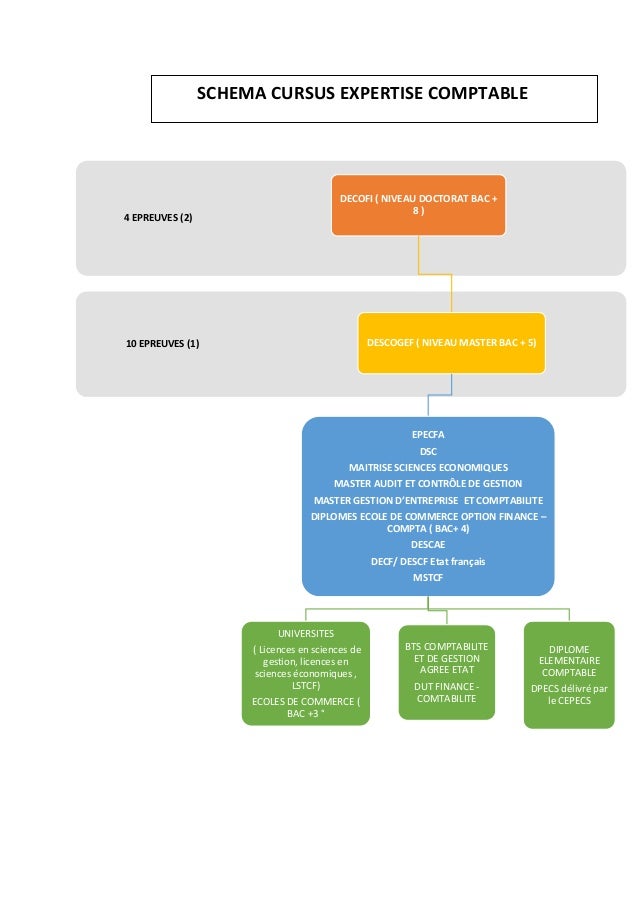 Schema De Cursus Expertise Comptable Senegal