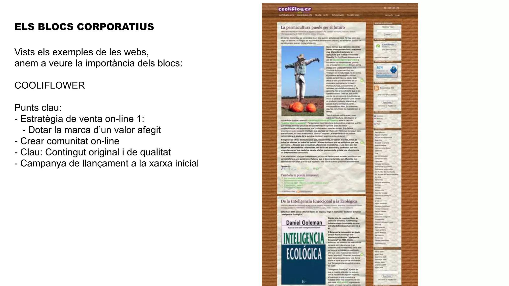 ELS BLOCS CORPORATIUS

Vists els exemples de les webs,
anem a veure la importància dels blocs:

COOLIFLOWER

Punts clau:
- Estratègia de venta on-line 1:
  - Dotar la marca d’un valor afegit
- Crear comunitat on-line
- Clau: Contingut original i de qualitat
- Campanya de llançament a la xarxa inicial
 