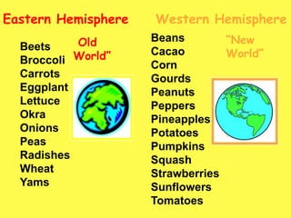 Eastern HemisphereWestern HemisphereBeansCacaoCornGourdsPeanutsPeppersPineapplesPotatoesPumpkinsSquashStrawberriesSunflowersTomatoesBeetsBroccoliCarrotsEggplantLettuceOkraOnionsPeasRadishesWheatYams“New World”“Old World”