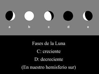 a b c d e Fases de la Luna C: creciente D: decreciente (En nuestro hemisferio sur) 