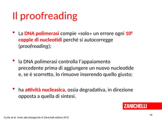  La DNA polimerasi compie «solo» un errore ogni 108
coppie di nucleotidi perché si autocorregge
(proofreading);
 la DNA polimerasi controlla l’appaiamento
precedente prima di aggiungere un nuovo nucleotide
e, se è scorretto, lo rimuove inserendo quello giusto;
 ha attività nucleasica, ossia degradativa, in direzione
opposta a quella di sintesi.
Il proofreading
16
Curtis et al. Invito alla biologia.blu © Zanichelli editore 2012
 