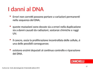  Errori non corretti possono portare a variazioni permanenti
nella sequenza del DNA;
 queste mutazioni sono dovute sia a errori nella duplicazione
sia a danni causati da radiazioni, sostanze chimiche e raggi
UV;
 il cancro, ossia la proliferazione incontrollata delle cellule, è
una delle possibili conseguenze;
 esistono enzimi deputati al continuo controllo e riparazione
del DNA.
I danni al DNA
Curtis et al. Invito alla biologia.blu © Zanichelli editore 2012
17
 