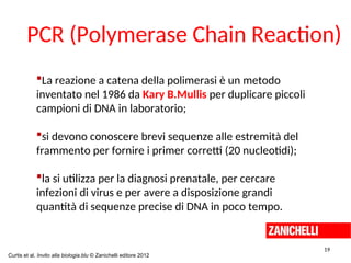 La reazione a catena della polimerasi è un metodo
inventato nel 1986 da Kary B.Mullis per duplicare piccoli
campioni di DNA in laboratorio;
si devono conoscere brevi sequenze alle estremità del
frammento per fornire i primer corretti (20 nucleotidi);
la si utilizza per la diagnosi prenatale, per cercare
infezioni di virus e per avere a disposizione grandi
quantità di sequenze precise di DNA in poco tempo.
PCR (Polymerase Chain Reaction)
19
Curtis et al. Invito alla biologia.blu © Zanichelli editore 2012
 