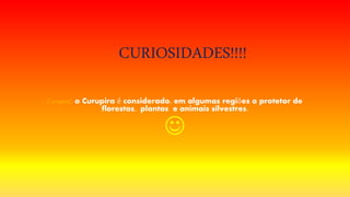 CURIOSIDADES!!!!
Curupira: o Curupira é considerado, em algumas regiões o protetor de
florestas, plantas e animais silvestres.

 
