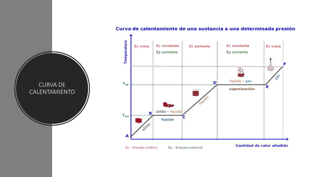 Curva de calentamiento y de enfriamiento 9