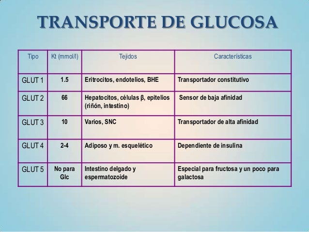 Curva de tolerancia a la glucosa Curva de tolerancia a la glucosa