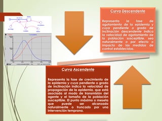 Curva Descendente 
Representa la fase de 
agotamiento de la epidemia y 
cuya pendiente o grado de 
inclinación descendente indica 
la velocidad de agotamiento de 
la población susceptible, sea 
naturalmente o por efecto o 
impacto de las medidas de 
control establecidas. 
Curva Ascendente 
Representa la fase de crecimiento de 
la epidemia y cuya pendiente o grado 
de inclinación indica la velocidad de 
propagación de la epidemia, que está 
asociada al modo de transmisión del 
agente y el tamaño de la población 
susceptible. El punto máximo o meseta 
que puede ser alcanzado 
naturalmente o truncado por una 
intervención temprana. 
 
