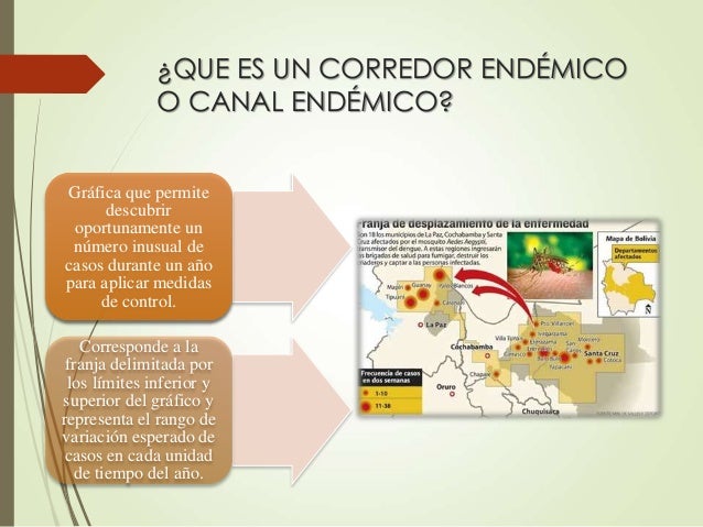 ¿Qué es un corredor binario?