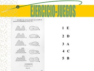 1 E

2 D

3 A
4 C
5 B
 