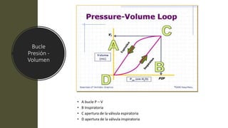 Bucle
Presión -
Volumen
• A bucle P – V
• B Inspiratoria
• C apertura de la válvula espiratoria
• D apertura de la válvula inspiratoria
 