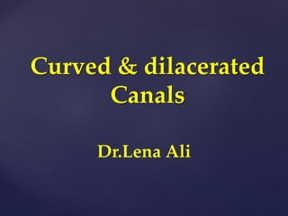 Curved & dilacerated
Canals
Dr.Lena Ali
 