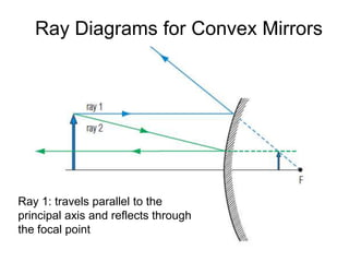 Ray Diagrams for Convex MirrorsRay 1: travels parallel to the principal axis and reflects through the focal point