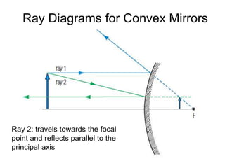 Curved Mirrors | PPT