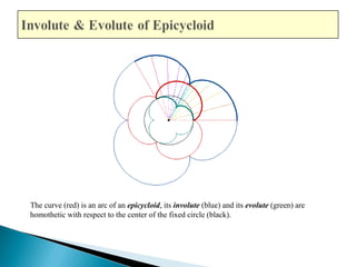 The curve (red) is an arc of an epicycloid, its involute (blue) and its evolute (green) are 
homothetic with respect to the center of the fixed circle (black). 
 