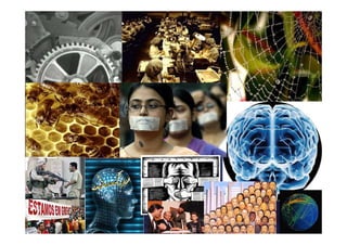 Metáforas Organizacionais
 