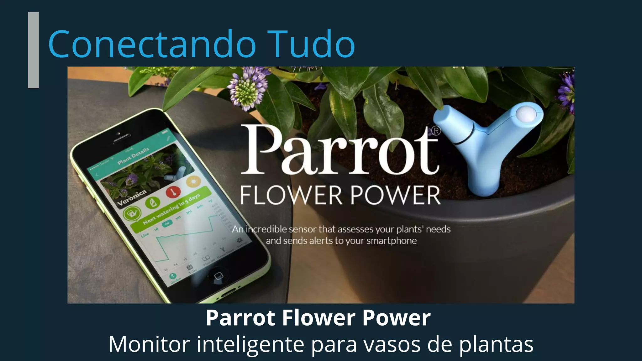 Conectando Tudo
Parrot Flower Power
Monitor inteligente para vasos de plantas
 
