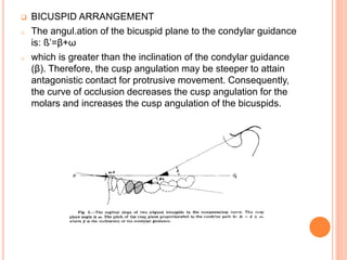  BICUSPID ARRANGEMENT
o The angul.ation of the bicuspid plane to the condylar guidance
is: ß’=β+ω
o which is greater than the inclination of the condylar guidance
(β). Therefore, the cusp angulation may be steeper to attain
antagonistic contact for protrusive movement. Consequently,
the curve of occlusion decreases the cusp angulation for the
molars and increases the cusp angulation of the bicuspids.
 