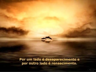 Por um lado é desaparecimento e  por outro lado é renascimento.  