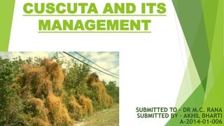 CUSCUTA AND ITS
MANAGEMENT
SUBMITTED TO – DR M.C. RANA
SUBMITTED BY – AKHIL BHARTI
A-2014-01-006
 