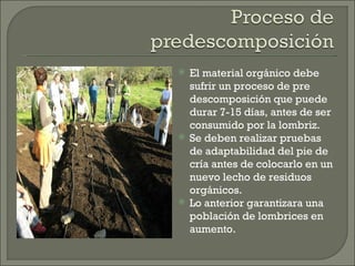 El material orgánico debe sufrir un proceso de pre descomposición que puede durar 7-15 días, antes de ser consumido por la lombriz. Se deben realizar pruebas de adaptabilidad del pie de cría antes de colocarlo en un nuevo lecho de residuos orgánicos. Lo anterior garantizara una población de lombrices en aumento. 