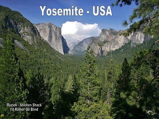 Yosemite - USA Muziek - Shicken Shack I'd Rather Go Blind 