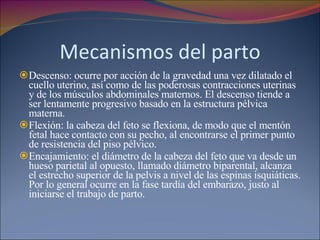 Mecanismos del parto Descenso: ocurre por acción de la gravedad una vez dilatado el cuello uterino, así como de las poderosas contracciones uterinas y de los músculos abdominales maternos. El descenso tiende a ser lentamente progresivo basado en la estructura pélvica materna.  Flexión: la cabeza del feto se flexiona, de modo que el mentón fetal hace contacto con su pecho, al encontrarse el primer punto de resistencia del piso pélvico.  Encajamiento: el diámetro de la cabeza del feto que va desde un hueso parietal al opuesto, llamado diámetro biparental, alcanza el estrecho superior de la pelvis a nivel de las espinas isquiáticas. Por lo general ocurre en la fase tardía del embarazo, justo al iniciarse el trabajo de parto.  
