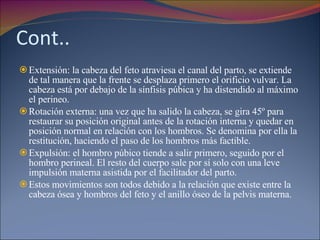 Cont.. Extensión: la cabeza del feto atraviesa el canal del parto, se extiende de tal manera que la frente se desplaza primero el orificio vulvar. La cabeza está por debajo de la sínfisis púbica y ha distendido al máximo el perineo.  Rotación externa: una vez que ha salido la cabeza, se gira 45º para restaurar su posición original antes de la rotación interna y quedar en posición normal en relación con los hombros. Se denomina por ella la restitución, haciendo el paso de los hombros más factible.  Expulsión: el hombro púbico tiende a salir primero, seguido por el hombro perineal. El resto del cuerpo sale por sí solo con una leve impulsión materna asistida por el facilitador del parto.  Estos movimientos son todos debido a la relación que existe entre la cabeza ósea y hombros del feto y el anillo óseo de la pelvis materna. 