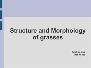 Structure and Morphology of grasses Jonathan Urra Aitor Pinillos 