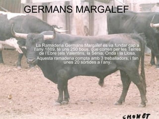 GERMANS MARGALEF La Ramaderia Germans  M argalef es va fundar cap a l’any 1889, t é  uns 250 bous, que corren per les  T erres de l’ E bre  (e ls  V alentins, la  Sén ia,  O nda i  la L losa. Aquesta ramaderia  compta amb  3 treballadors, i fan unes 20 sortides a l’any. 