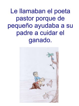 Le llamaban el poeta pastor porque de pequeño ayudaba a su padre a cuidar el ganado. 