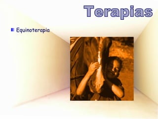 Equinoterapia Terapias 