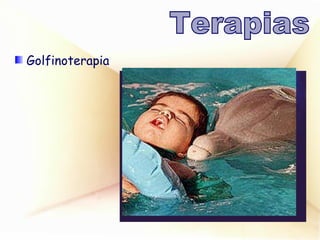 Golfinoterapia Terapias 