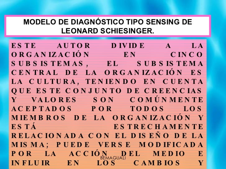 diagnostico organizacional