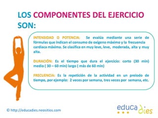 LOS COMPONENTES DEL EJERCICIO SON:	INTENSIDAD O POTENCIA:  Se evalúa mediante una serie de 	fórmulas que indican el consumo de oxígeno máximo y la 	frecuencia 	cardiaca máxima. Se clasifica en muy leve, leve, 	moderada, alta y muy 	alta. DURACIÓN: Es el tiempo que dura el ejercicio: corto (30 min) 	medio ( 30 – 60 min) largo ( más de 60 min)	FRECUENCIA: Es la repetición de la actividad en un preiodo de 	tiempo, por ejemplo:  2 veces por semana, tres veces por 	semana, etc.