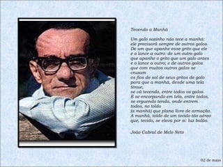 Tecendo a Manhã  Um galo sozinho não tece a manhã: ele precisará sempre de outros galos. De um que apanhe esse grito que ele e o lance a outro: de um outro galo que apanhe o grito que um galo antes e o lance a outro; e de outros galos que com muitos outros galos se cruzam os fios de sol de seus gritos de galo para que a manhã, desde uma tela tênue, se vá tecendo, entre todos os galos. E se encorpando em tela, entre todos, se erguendo tenda, onde entrem todos, no toldo (a manhã) que plana livre de armação. A manhã, toldo de um tecido tão aéreo que, tecido, se eleva por si: luz balão. João Cabral de Melo Neto 02 de maio 