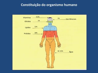 Constituição do organismo humano Vitaminas 0,5% Glícidos 1% 12% Lípidos Prótidos 18% Água 60- 65% Sais Minerais 5% 