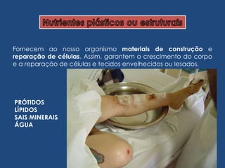 Fornecem ao nosso organismo  materiais de construção  e  reparação de células . Assim, garantem o crescimento do corpo e a reparação de células e tecidos envelhecidos ou lesados. PRÓTIDOS LÍPIDOS SAIS MINERAIS ÁGUA  