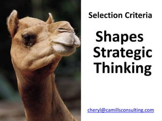 Selection Criteria

  Shapes
  Strategic
  Thinking

cheryl@camillsconsulting.com
 