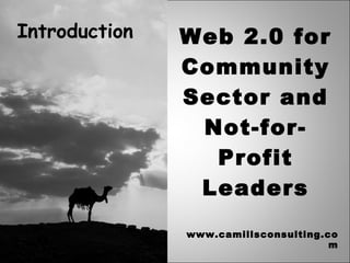 Web 2.0 for Community Sector and Not-for-Profit Leaders www.camillsconsulting.com Introduction   
