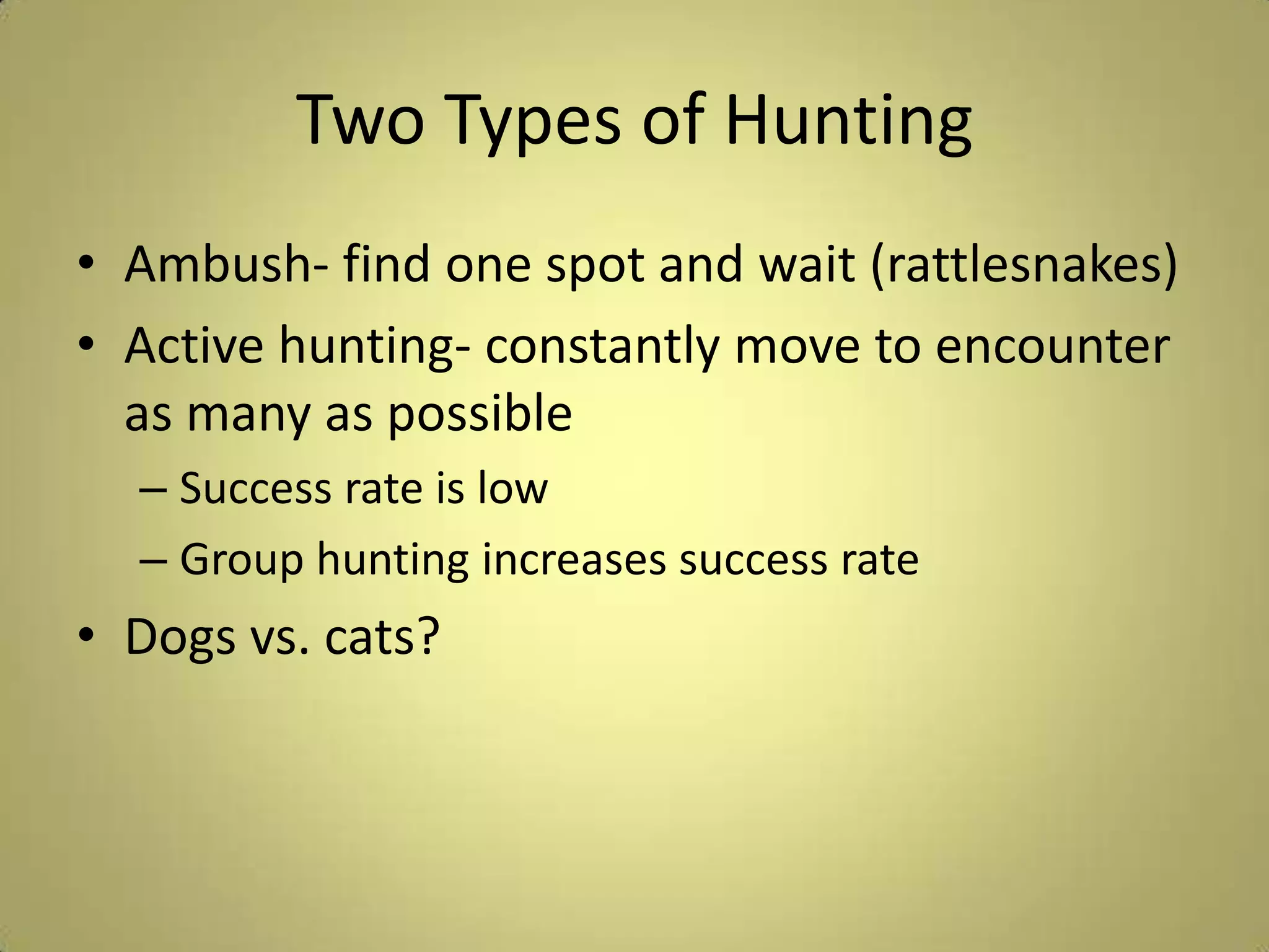 Two Types of HuntingAmbush- find one spot and wait (rattlesnakes)Active hunting- constantly move to encounter as many as possibleSuccess rate is low Group hunting increases success rateDogs vs. cats?