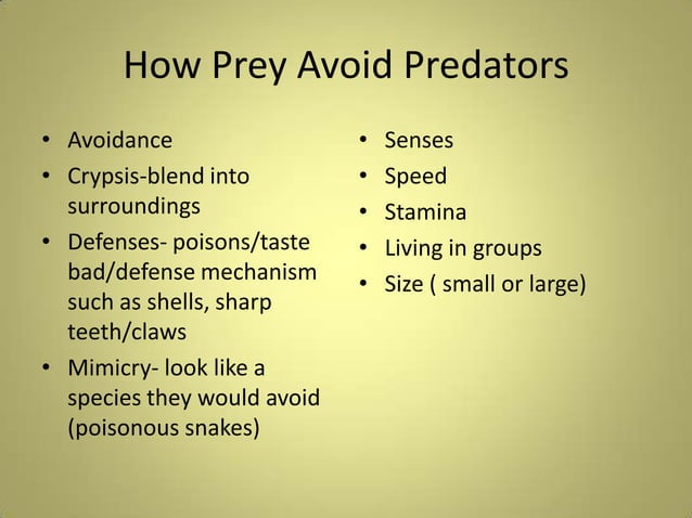 Predator/Prey Interactions | PPTX | Hunting and Shooting | Sports