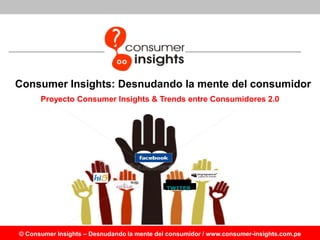 Consumer Insights: Desnudando la mente del consumidor
      Proyecto Consumer Insights & Trends entre Consumidores 2.0




                                             TWITER




© Consumer Insights – Desnudando la mente del consumidor / www.consumer-insights.com.pe
 
