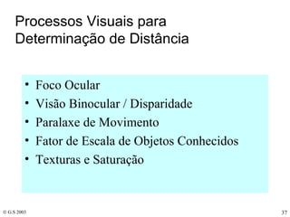 Processos Visuais para Determinação de Distância Foco Ocular Visão Binocular / Disparidade Paralaxe de Movimento Fator de Escala de Objetos Conhecidos Texturas e Saturação 