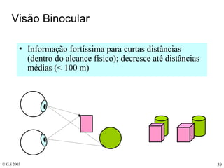 Visão Binocular Informação fortíssima para curtas distâncias (dentro do alcance físico); decresce até distâncias médias (< 100 m) 